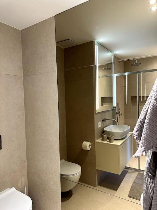 Riva 14 Apartman Lugano Kültér fotó